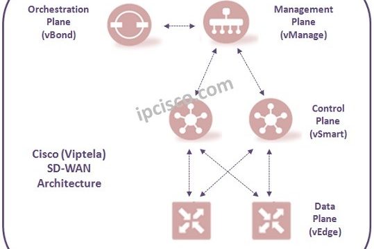 cisco-viptela-sd-wan.ipcisco.com