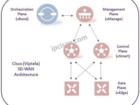 cisco-viptela-vbond-config