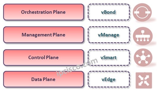 sd-wan-architecture-ipcisco.com